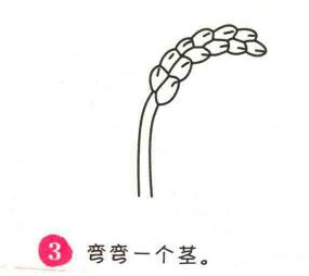 水稻簡(jiǎn)筆畫畫法步驟03