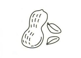 花生簡(jiǎn)筆畫