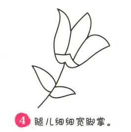 百合花簡(jiǎn)筆畫(huà)畫(huà)法步驟04