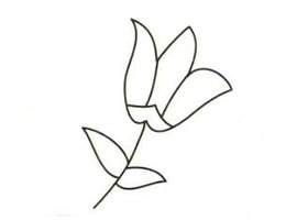 百合花簡筆畫