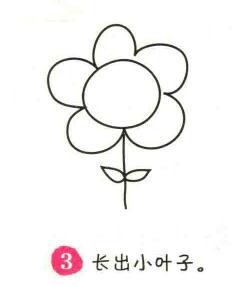 太陽(yáng)花簡(jiǎn)筆畫畫法步驟03