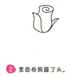 玫瑰花簡(jiǎn)筆畫畫法步驟02