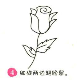 玫瑰花簡(jiǎn)筆畫畫法步驟04