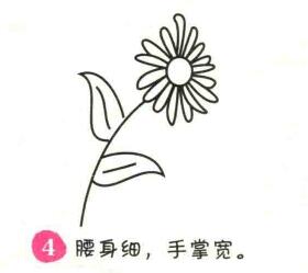 菊花簡筆畫畫法步驟04
