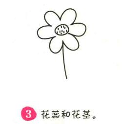 小野花簡筆畫畫法步驟03
