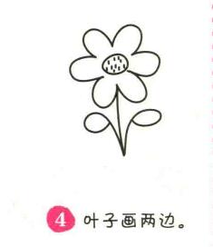 小野花簡筆畫畫法步驟04