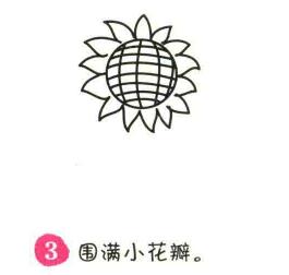 向日葵簡筆畫畫法步驟03