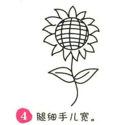 向日葵簡筆畫畫法步驟04