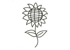 向日葵簡(jiǎn)筆畫