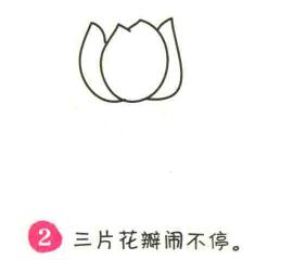 郁金香簡筆畫畫法步驟02