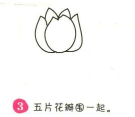 郁金香簡筆畫畫法步驟03