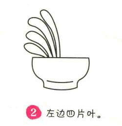 君子蘭簡筆畫畫法步驟02