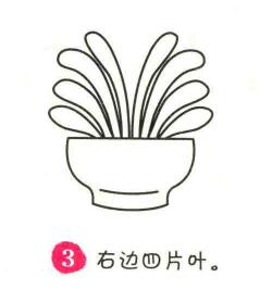 君子蘭簡筆畫畫法步驟03