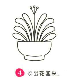君子蘭簡筆畫畫法步驟04