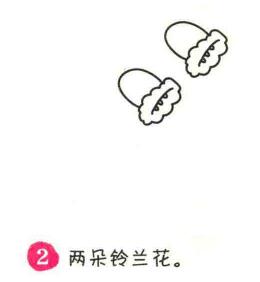 鈴蘭花簡筆畫畫法步驟02