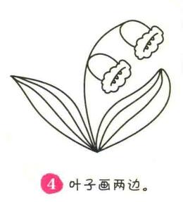 鈴蘭花簡筆畫畫法步驟04