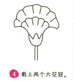 雞冠花簡筆畫畫法步驟04
