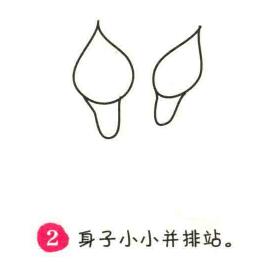 馬蹄蓮簡筆畫畫法步驟02