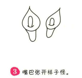 馬蹄蓮簡筆畫畫法步驟03