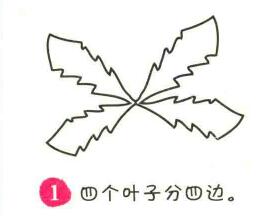 蒲公英簡筆畫畫法步驟01