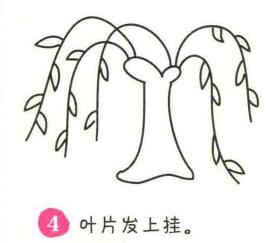 柳樹簡筆畫畫法步驟04