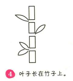 竹子簡筆畫畫法步驟04