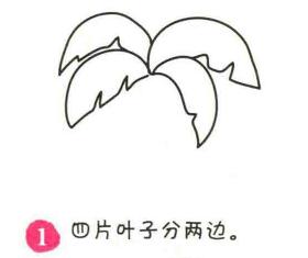 椰子樹簡(jiǎn)筆畫畫法步驟01