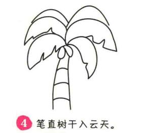 椰子樹簡(jiǎn)筆畫畫法步驟04