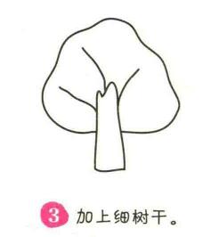 楊樹(shù)簡(jiǎn)筆畫畫法步驟03
