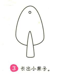 果樹簡筆畫畫法步驟03