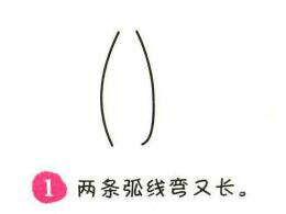 瓶樹簡筆畫畫法步驟01