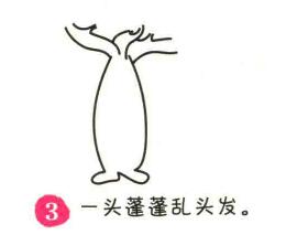 瓶樹簡筆畫畫法步驟03