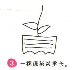 盆栽簡筆畫畫法步驟03