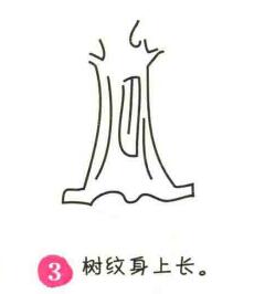 銀杏樹簡筆畫畫法步驟03