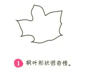 楓葉簡筆畫畫法步驟01