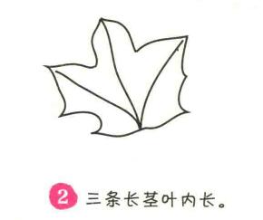 楓葉簡筆畫畫法步驟02