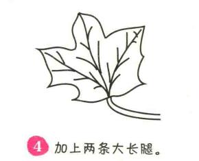 楓葉簡筆畫畫法步驟04
