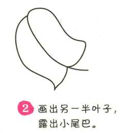 樹葉簡筆畫畫法步驟02
