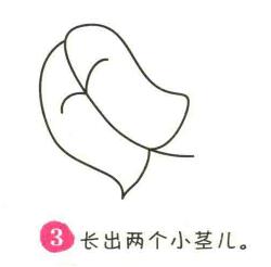樹葉簡筆畫畫法步驟03