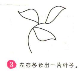樹葉簡筆畫畫法步驟03