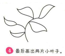 樹葉簡筆畫畫法步驟04