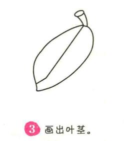樹葉簡筆畫畫法步驟03