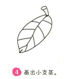 樹葉簡筆畫畫法步驟04