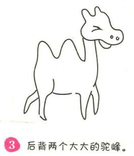 駱駝簡筆畫畫法步驟03