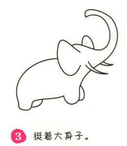 大象簡筆畫畫法步驟03