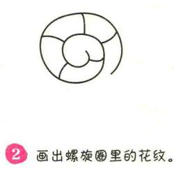 蝸牛簡筆畫畫法步驟02