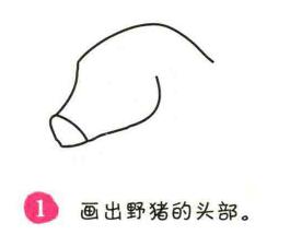 野豬簡筆畫畫法步驟01