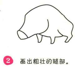 野豬簡筆畫畫法步驟02