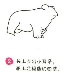 北極熊簡(jiǎn)筆畫畫法步驟02