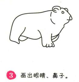 北極熊簡(jiǎn)筆畫畫法步驟03